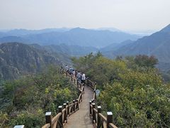 -大岭沟猕猴桃谷风景区