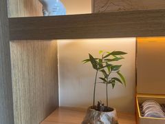 -小茶闲舍·观景商务茶馆(广州塔店)