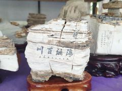 -东平国家森林公园