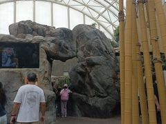 -香港海洋公园