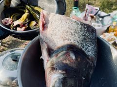 -盘龙城国家考古遗址公园