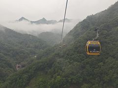 -栾川竹海野生动物园