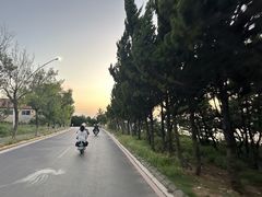 -养马岛旅游度假区