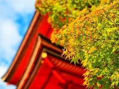 -Moka Bros 摩卡站(西单大悦城店)