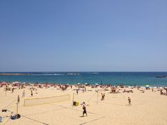 -小巴塞罗那海滩
