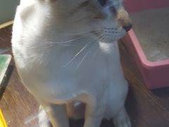 -乐宠宠物店(世纪金源店)