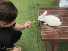 -盈香心动乐园