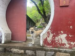 -天津盘山风景名胜区
