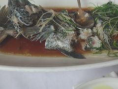 -骏莱海鲜鱼港(五角场店)