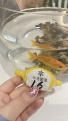 -水沐莲清瑜伽·普拉提