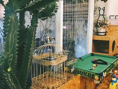 -拾壹cafe·工作室