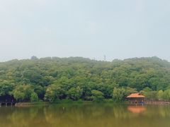 -采石矶景区