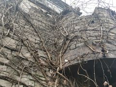 -得丘礼享谷·玉兰苑