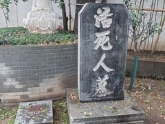 -活死人墓