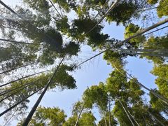 -同里国家湿地公园