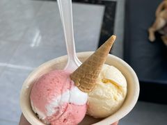 -极拉图·现制冰淇淋(大卫城店)