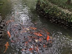 -成都杜甫草堂博物馆