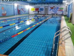 -蓝鲨游泳培训(回龙观店)