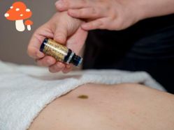 点击看大图 -芳香乐府SPA·五行芳疗