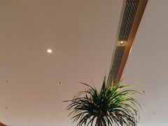 -桂满陇·蟹黄小笼汤包(巴黎春天浦建店)