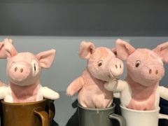 -WHEN PIGS FLY当猪飞