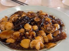 红烧全家福-同和居(月坛店)