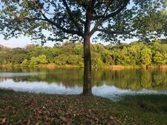 -福建鲤鱼洲酒店