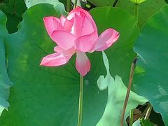 -韶山毛泽东同志故居