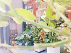 -小西家作(富力爱丁堡店)