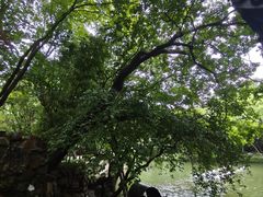 -绮园景区