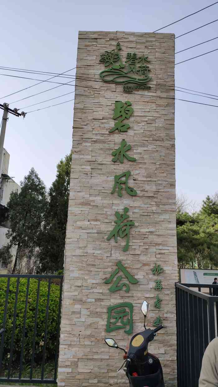 碧水风荷公园-"碧水风荷公园南段,一块面积不大的树上挂了.