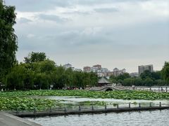 -济南大明湖景区