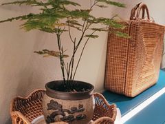 -南越郡·越式风味餐厅(青秀万达店)
