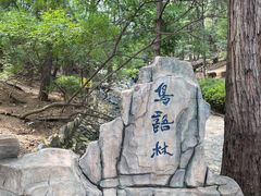 -燕塞湖鸟语林景区