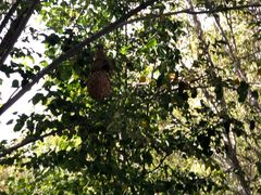 -哈密回王府景区