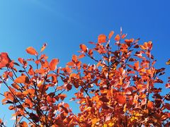 -北京西山国家森林公园