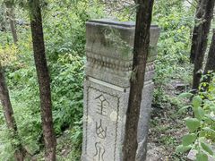 -阳台山自然风景区