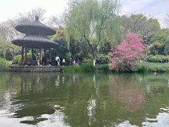 -西湖游船