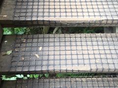 -怀托摩萤火虫洞