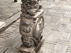 -泡桐树街