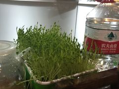 -番食园鲜食火锅(高新店)