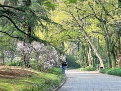 -杭州植物园