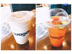 -Wagas沃歌斯(富力广场店)