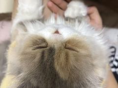 -联合动物医院(光谷诊疗中心)