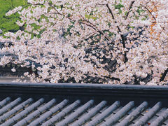 -寒山寺