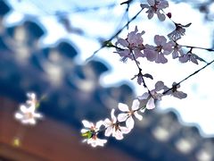 -三里河公园