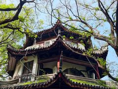 -同里国家湿地公园