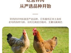 -金翠河烧鹅餐厅(解放碑时代广场店)