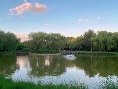 -将府公园