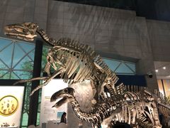 -湖南省地质博物馆